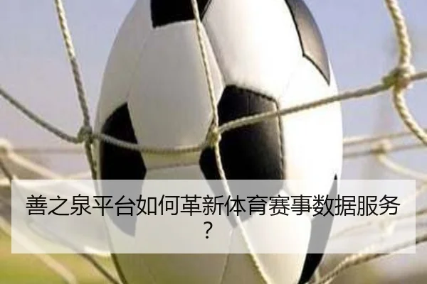 善之泉平台如何革新体育赛事数据服务？
