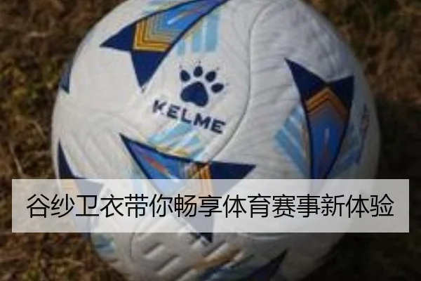 谷纱卫衣带你畅享体育赛事新体验
