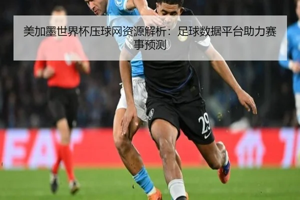 美加墨世界杯压球网资源解析：足球数据平台助力赛事预测