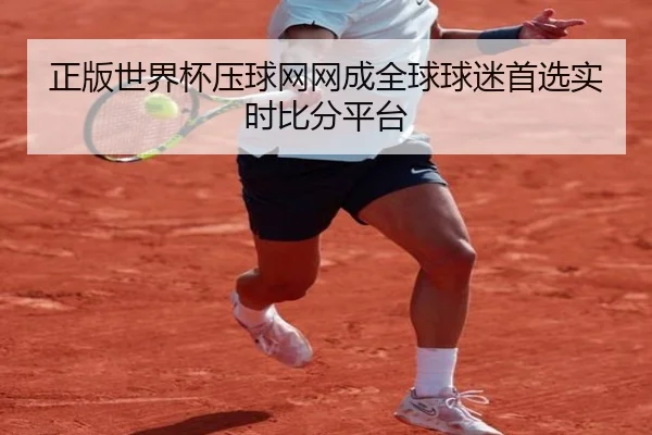 正版世界杯压球网网成全球球迷首选实时比分平台
